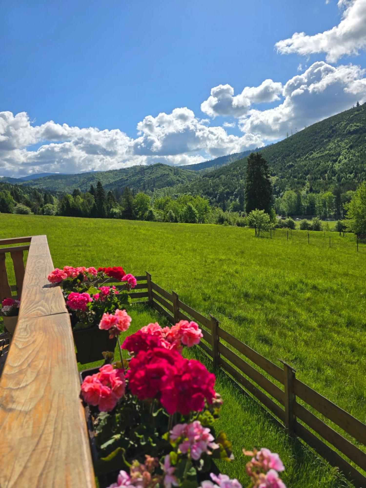 Villa Hasiorowka. Dom W Gorach *